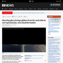 Morning glory brings gliders from far and wide to surf spectacular, rare cloud formation