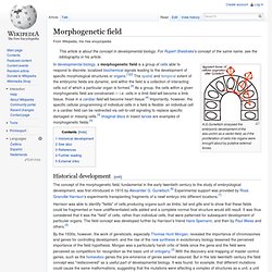Morphogenetic field