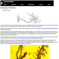 Morphology of Dendrites
