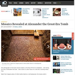 Mosaics Revealed at Alexander the Great-Era Tomb