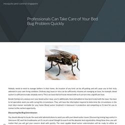 Professionals Can Take Care of Your Bed Bug Problem Quickly