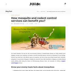 How mosquito and rodent control services can benefit you?