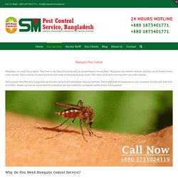 SM Pest: Mosquitoes Control Service in Bangladesh (Insect Killer)