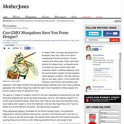 Can GMO Mosquitoes Save You From Dengue?