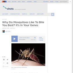 Why Do Mosquitoes Like To Bite You Best? It's In Your Genes