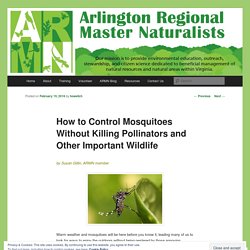 How to Control Mosquitoes Without Killing Pollinators and Other Important Wildlife