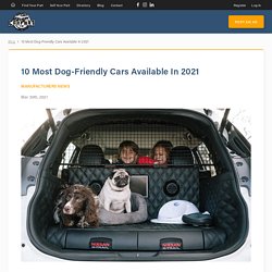 10 Most Dog-Friendly Cars Available In 2021