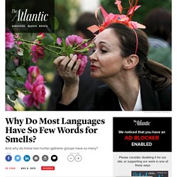 Why Do Most Languages Have So Few Words for Smells?