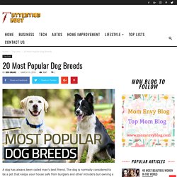 20 Most Popular Dog Breeds in 2018