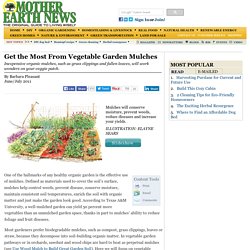 Get the Most From Vegetable Garden Mulches