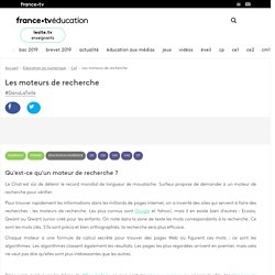 Les moteurs de recherche - Vidéo - France tv Éducation