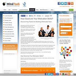 How Good are Your Motivation Skills? - Team Management Training from MindTools