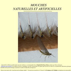 Mouches Naturelles & Artificielles