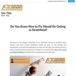 Do You Know How to Fix Mould On Ceiling in Strathfield?