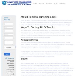 Mould Removal Sunshine Coast - Water Damage Sunshine Coast