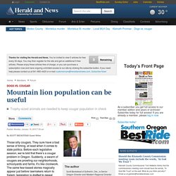 Mountain lion population can be useful - Herald and News: Forum