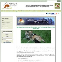 Your Calls Saved the Fox Mountain Mexican Wolf Mother