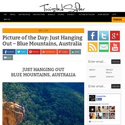 Just Hanging Out – Blue Mountains, Australia