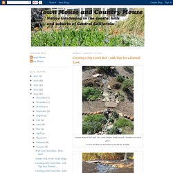 Town Mouse and Country Mouse: Creating a Dry Creek Bed - with Tips for a Natural Look