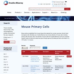 Mouse Primary Cells