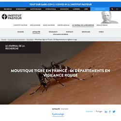 Moustique tigre en France : 64 départements en vigilance rouge