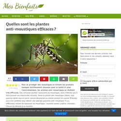 Plante anti-moustique : 20 plantes efficaces pour repousser les moustiques !