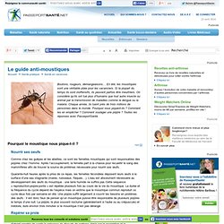 Le guide anti-moustiques