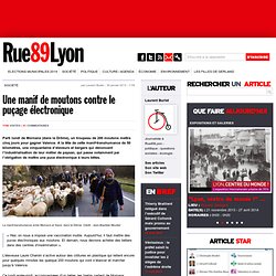 RUE89 30/01/13 Une manif de moutons contre le puçage électronique