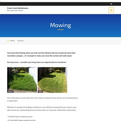 Professional Lawn Mowing Service in Fraser Coast