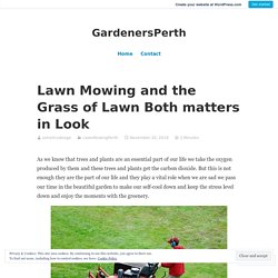 Lawn Mowing and the Grass of Lawn Both matters in Look – GardenersPerth