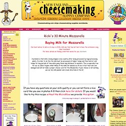Mozzarella Cheese Recipe