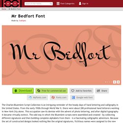 Mr Bedfort Font · 1001 Fonts