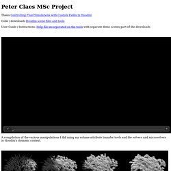 MSc Project Peter Claes