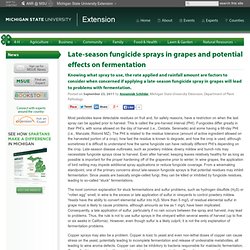 MICHIGAN STATE UNIVERSITY 23/09/11 Late-season fungicide sprays in grapes and potential effects on fermentation