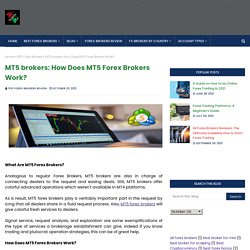 MT5 brokers: How Does MT5 Forex Brokers Work?