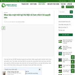 Mua tảo mặt trời tại Hà Nội rẻ hơn nhờ 4 bí quyết sau