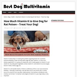 Guidelines to give Vitamin K for Dogs