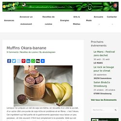 Muffins okara-banane