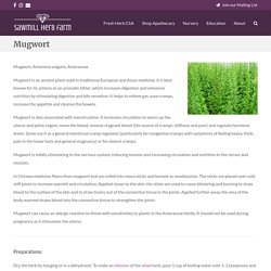 Mugwort – Sawmill Herb Farm