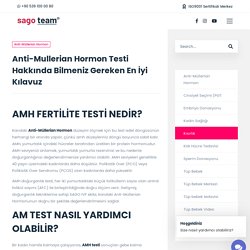 Anti-Mullerian Hormon Testi Hakkında Bilmeniz Gereken En İyi Kılavuz