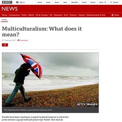 Multiculturalism: What does it mean?