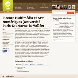 Licence 3 Multimédia et Arts Numériques