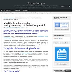 MindMaple: mindmapping multiplateforme, collaboratif et gratuit ! « Formation 3.0 - Pale Moon