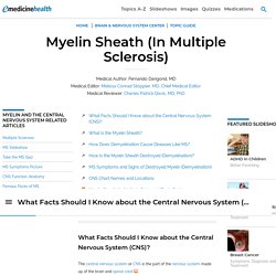 Myelin Sheath Damage & Multiple Sclerosis Symptoms & Signs