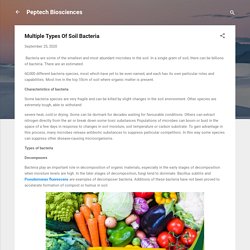 Multiple Types Of Soil Bacteria