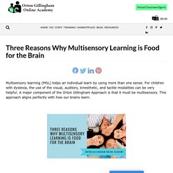 Three Reasons Why Multisensory Learning is Food for the Brain