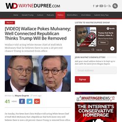 [VIDEO] Wallace Pokes Mulvaney; Well Connected Republican Thinks Trump Will Be Removed
