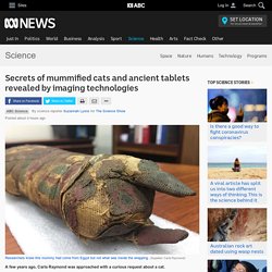 Secrets of mummified cats and ancient tablets revealed by imaging technologies - Science News - ABC News