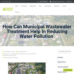 How Can Municipal Wastewater Treatment Help In Reducing Water Pollution 