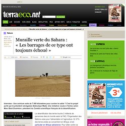 La Grande muraille verte du Sahara est vouée à l'échec selon le président du Comité scientifique français de la désertification